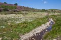 A Stream from the Mournes, Co. Down.